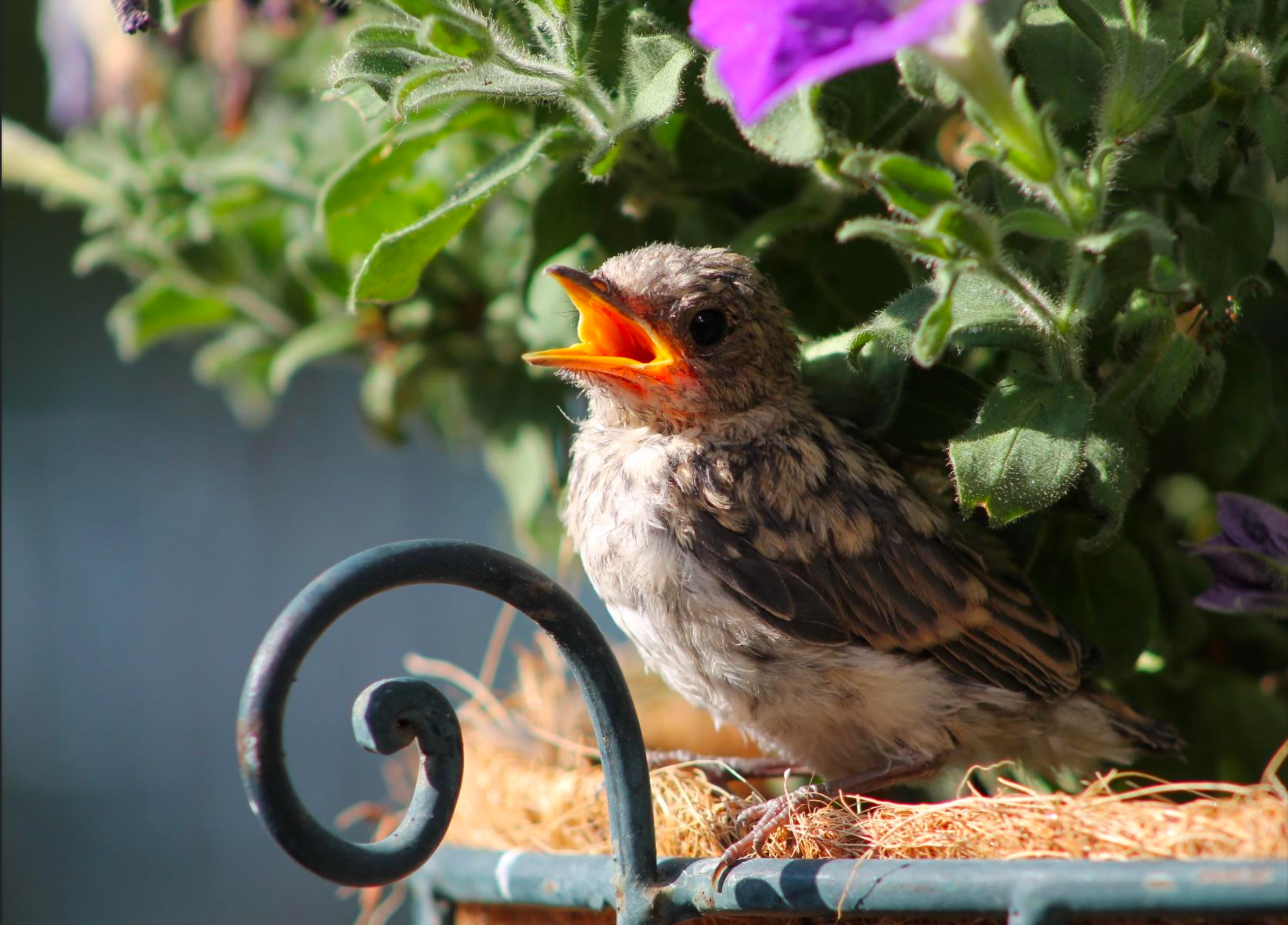 Haben dir auch alle gesagt, du könntest nicht singen?